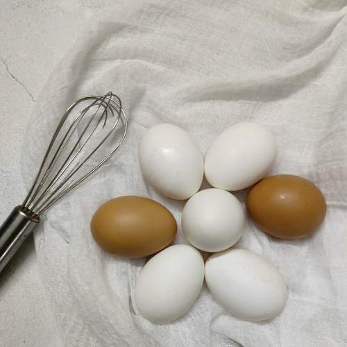 Photo #7358116