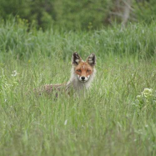 Photo #7358153