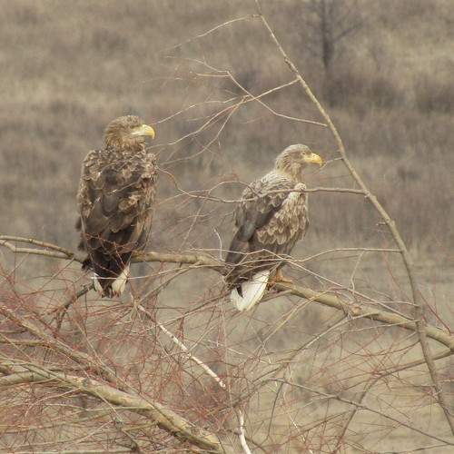 Photo #7358208