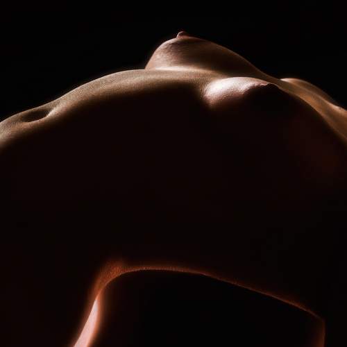 Photo #7358401