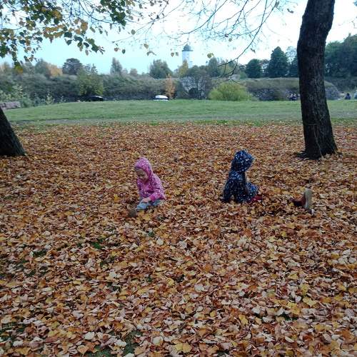 Photo #7358416