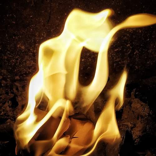 Photo #7358440