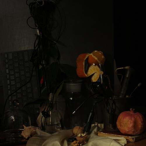 Photo #7358559