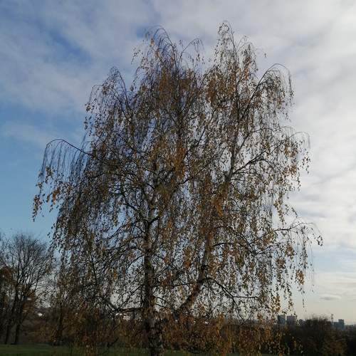 Photo #7358714
