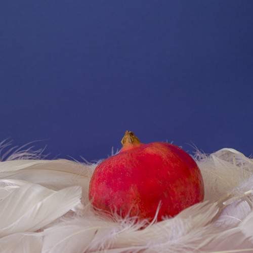 Photo #7358731