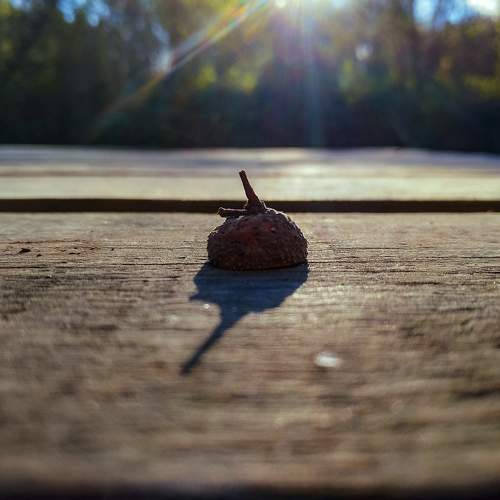 Photo #7358734