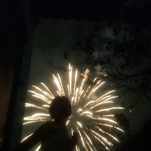 Photo #7359245