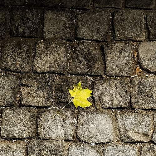 Photo #7359256