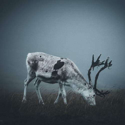 Photo #7359493