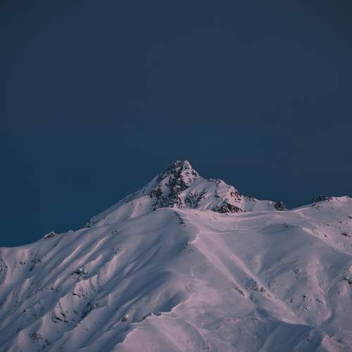 Photo #7359534