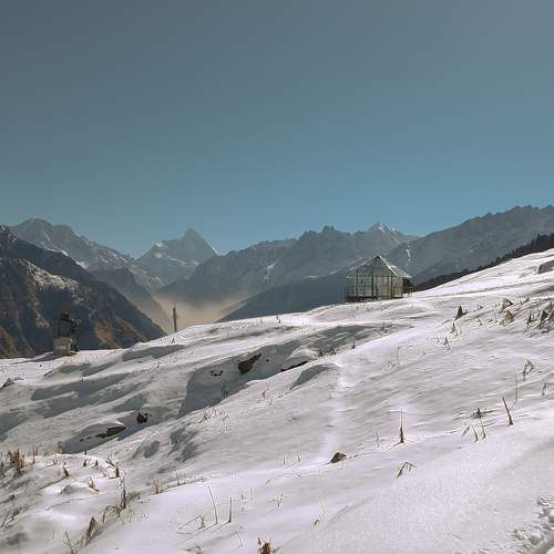 Photo #7359712
