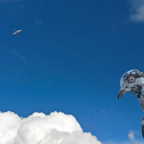 Photo #7360047