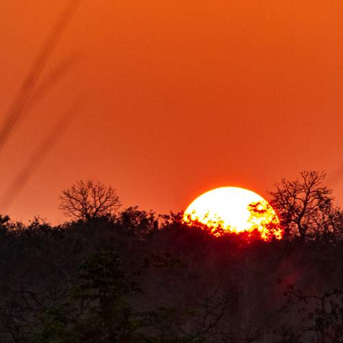 Sunrise or Sunset ?
