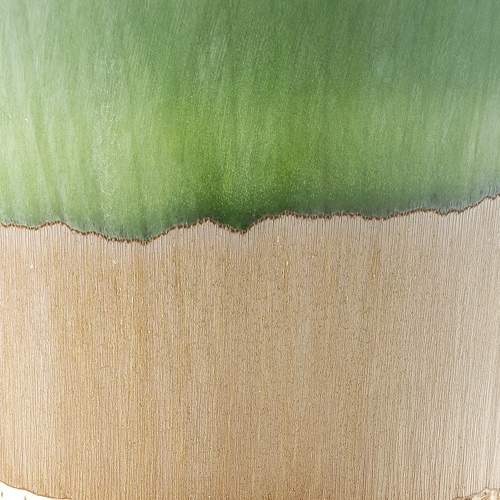 Photo #7360223