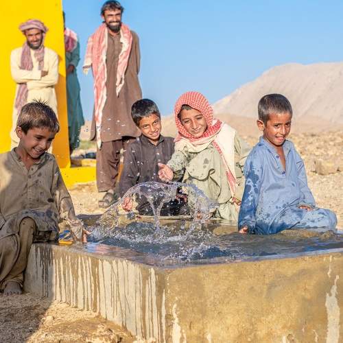 Photo #7360529