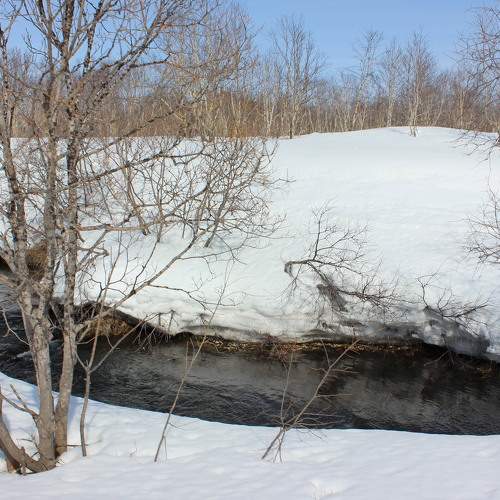 Photo #7360738