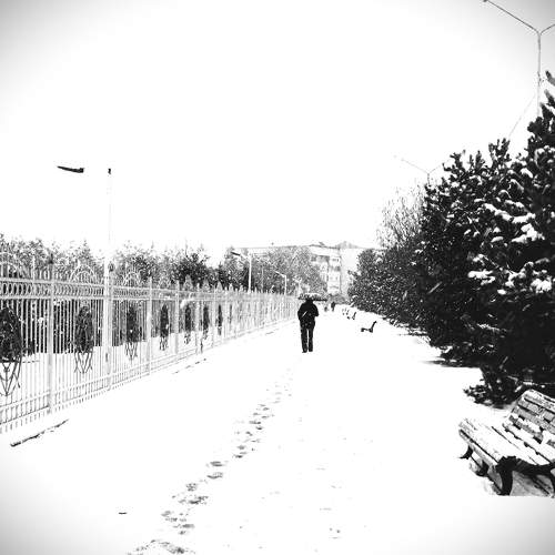 Photo #7360816