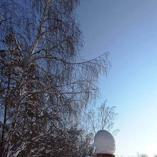 Photo #7361110