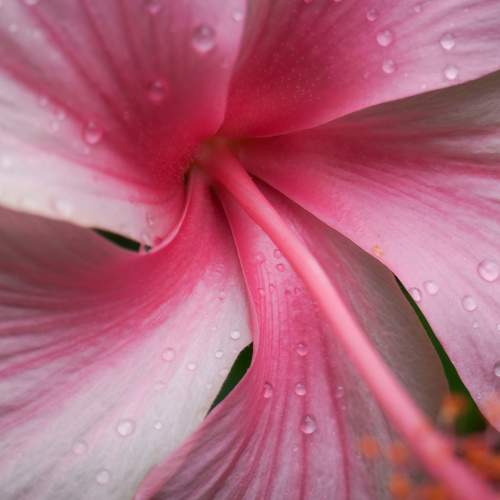 Photo #7361121