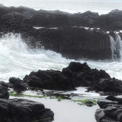 Photo #7361147