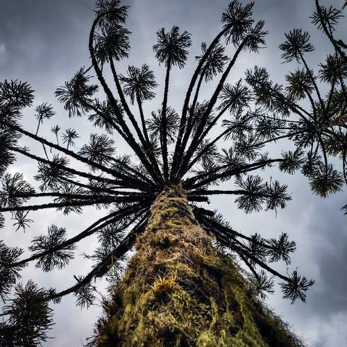 Photo #7361219