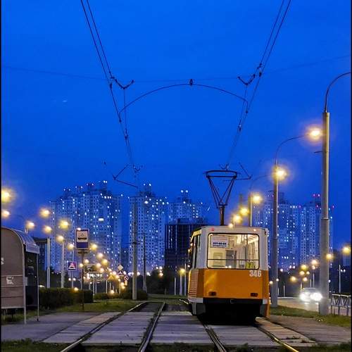 Photo #7361310