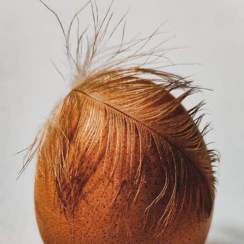 Photo #7361363