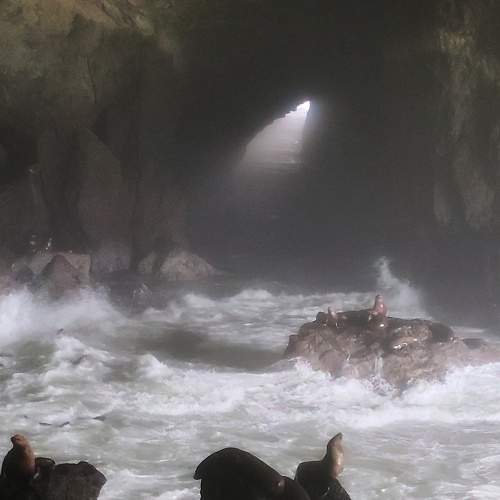 Photo #7361394