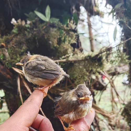 Photo #7361497