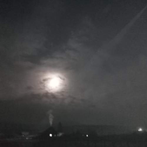 Photo #7361664