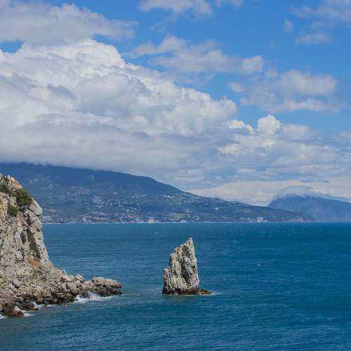 Photo #7361929