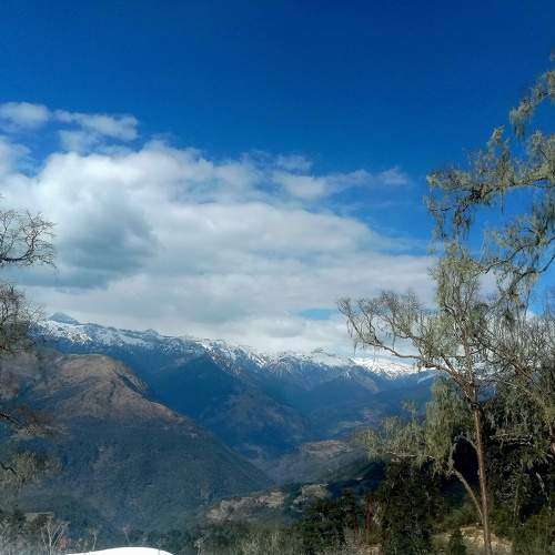 Photo #7361942