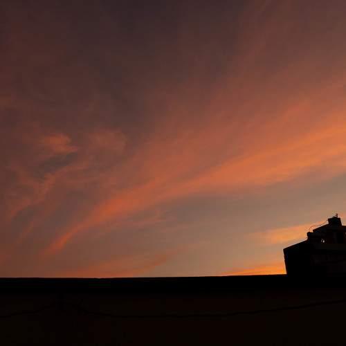 Photo #7362031
