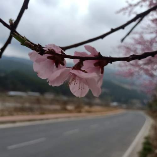 Photo #7362071
