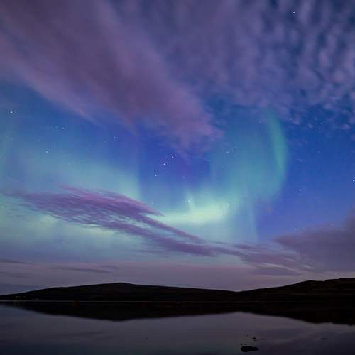 Photo #7362095