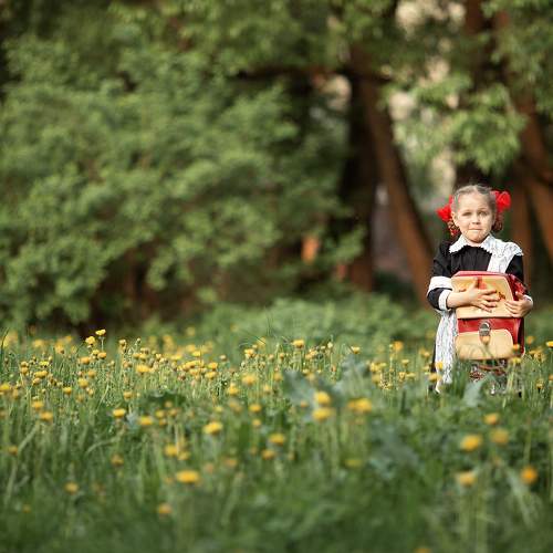 Photo #7362096