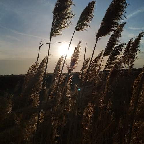 Photo #7362393
