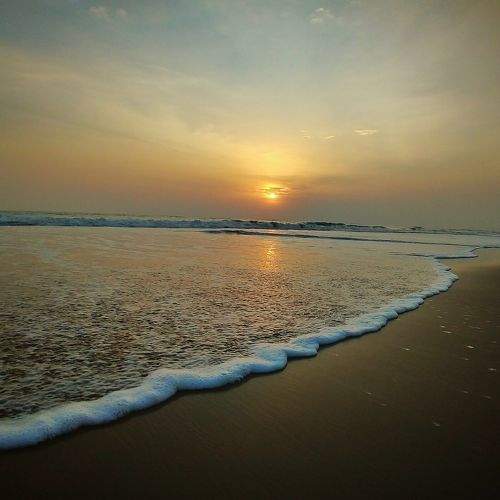 Photo #7362401