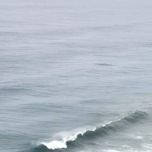 Photo #7362577