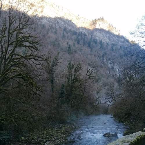 Photo #7362584