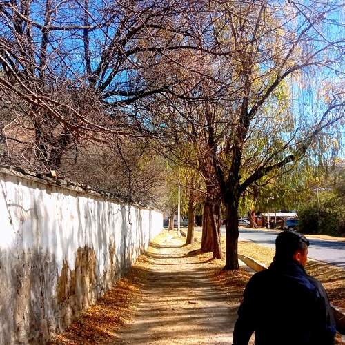 Photo #7363076