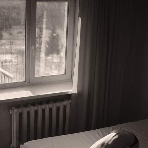 Photo #7363179