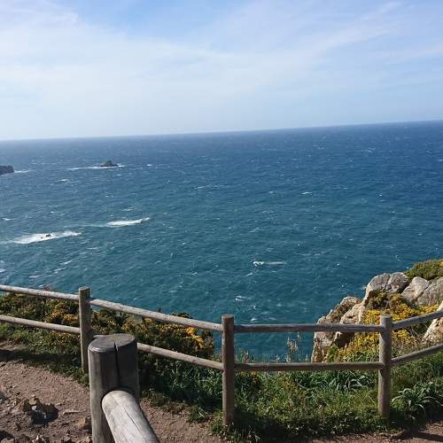 Photo #7363225