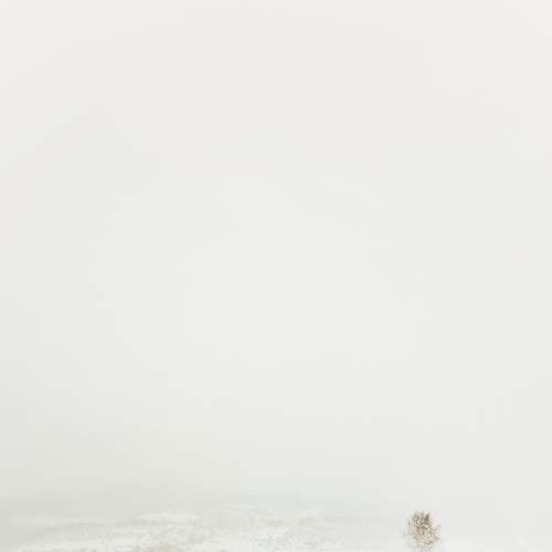 Photo #7363244