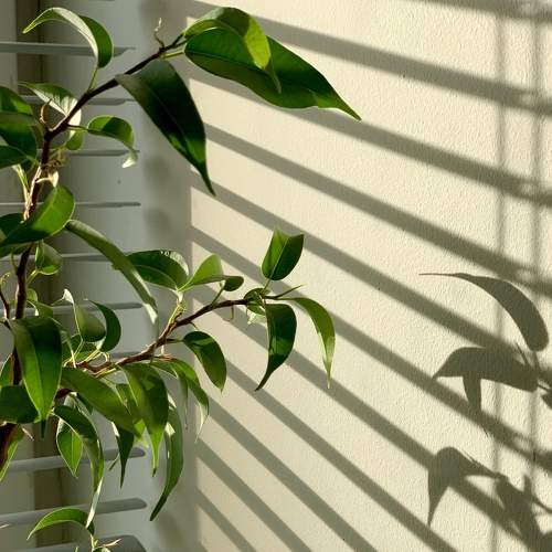 Photo #7363312