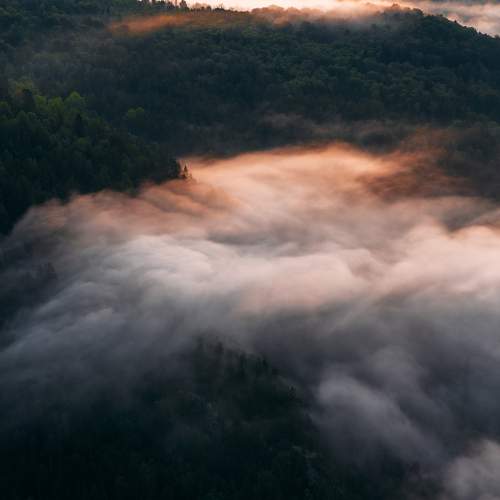 Photo #7363383