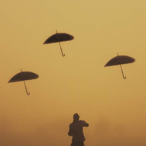 Photo #7363409