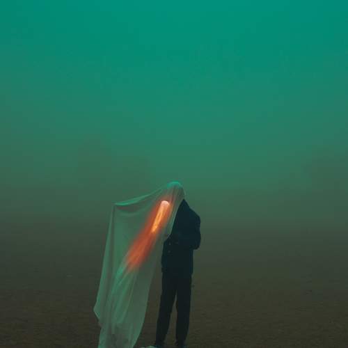 Photo #7363411