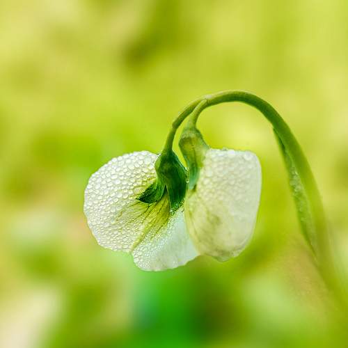 Photo #7363564