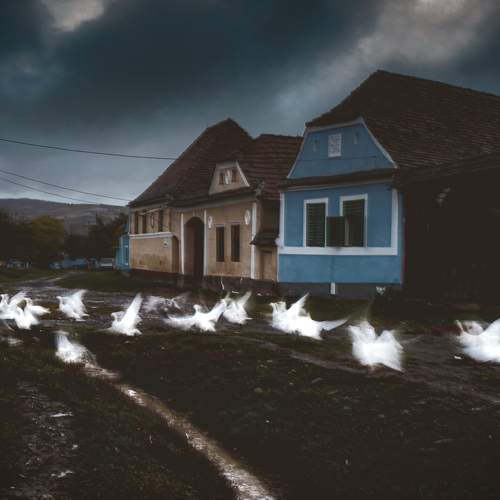 Photo #7363621